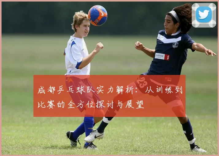 成都乒乓球队实力解析：从训练到比赛的全方位探讨与展望