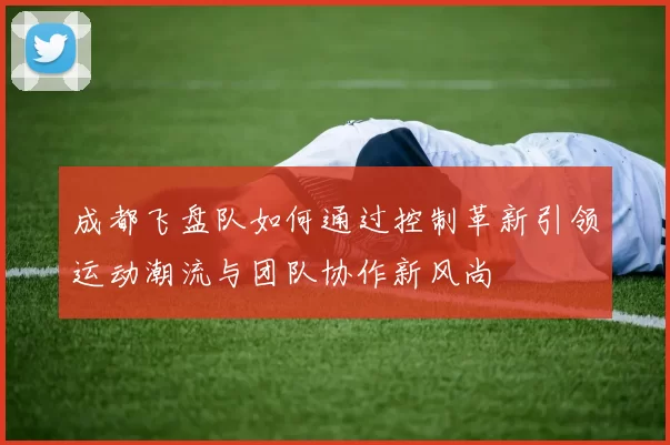 成都飞盘队如何通过控制革新引领运动潮流与团队协作新风尚