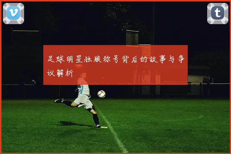 足球明星独狼称号背后的故事与争议解析