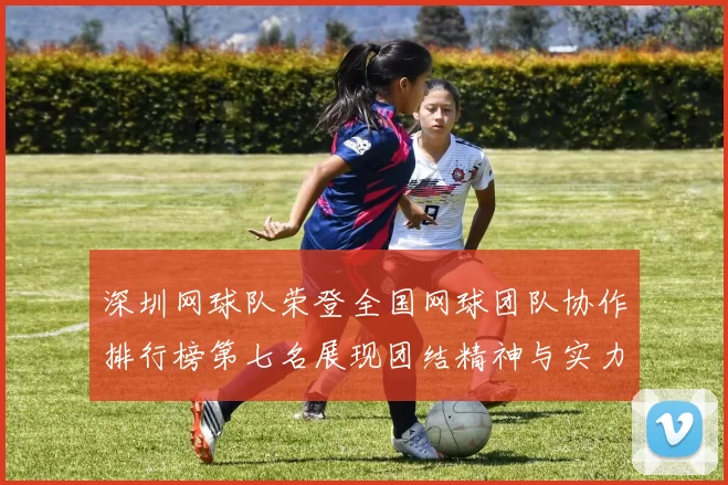 深圳网球队荣登全国网球团队协作排行榜第七名展现团结精神与实力