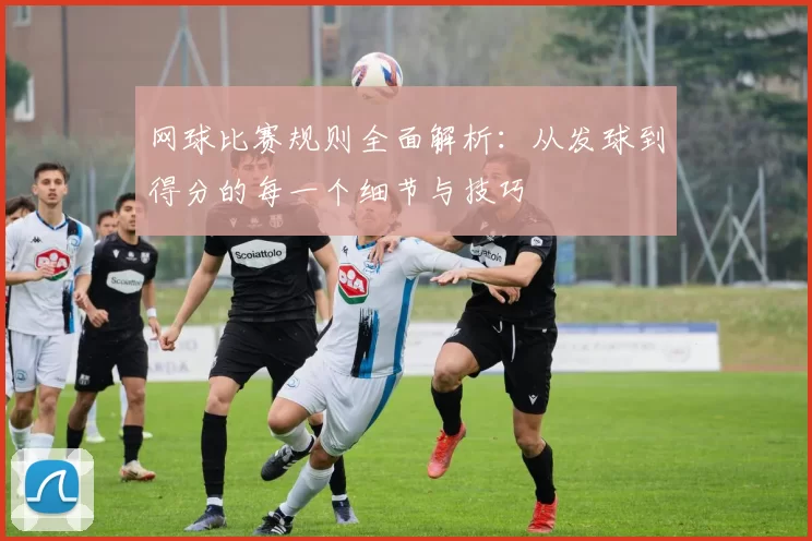 网球比赛规则全面解析：从发球到得分的每一个细节与技巧