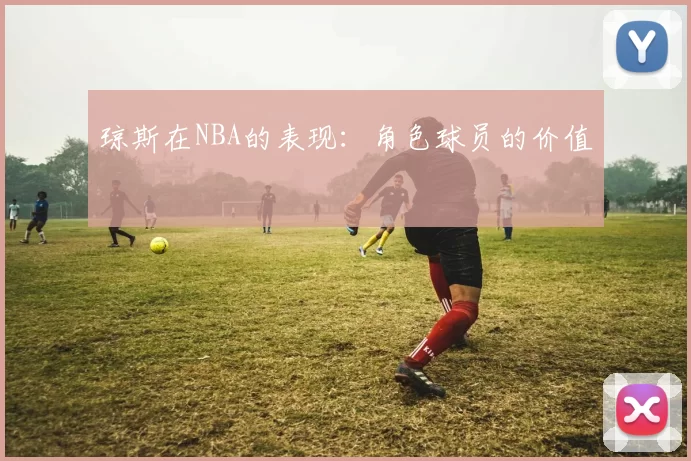 琼斯在NBA的表现：角色球员的价值