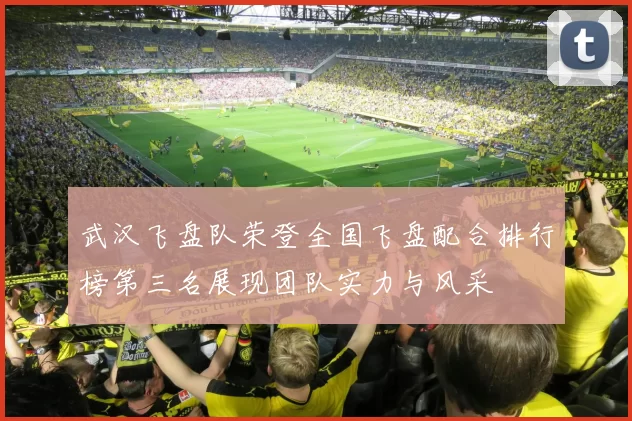 武汉飞盘队荣登全国飞盘配合排行榜第三名展现团队实力与风采