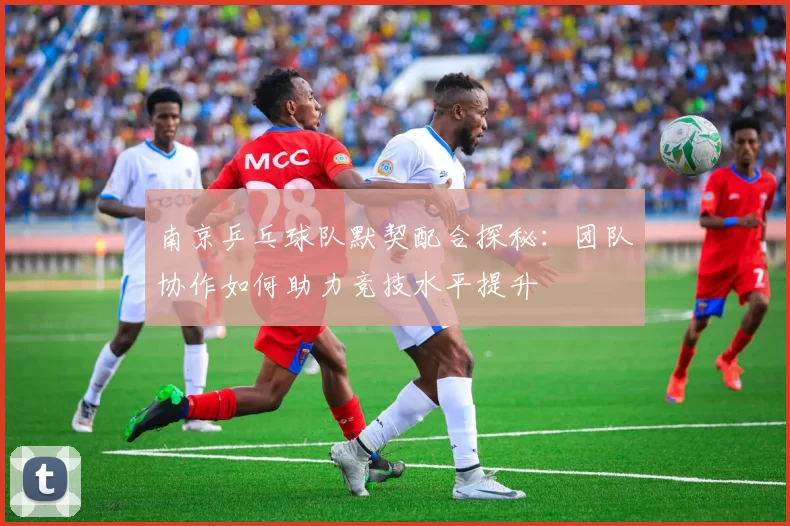 南京乒乓球队默契配合探秘：团队协作如何助力竞技水平提升