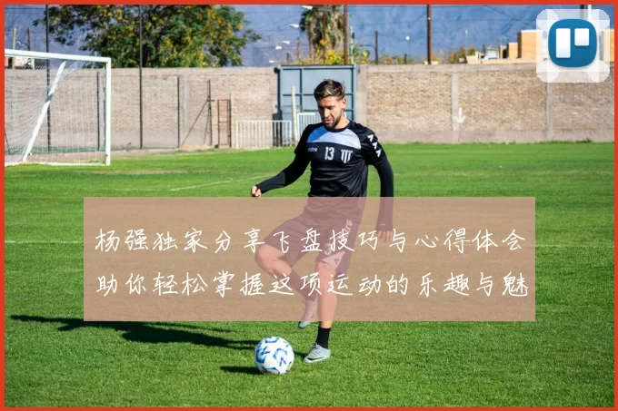 杨强独家分享飞盘技巧与心得体会助你轻松掌握这项运动的乐趣与魅力