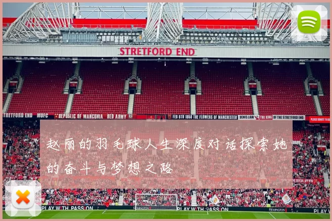 赵丽的羽毛球人生深度对话探索她的奋斗与梦想之路