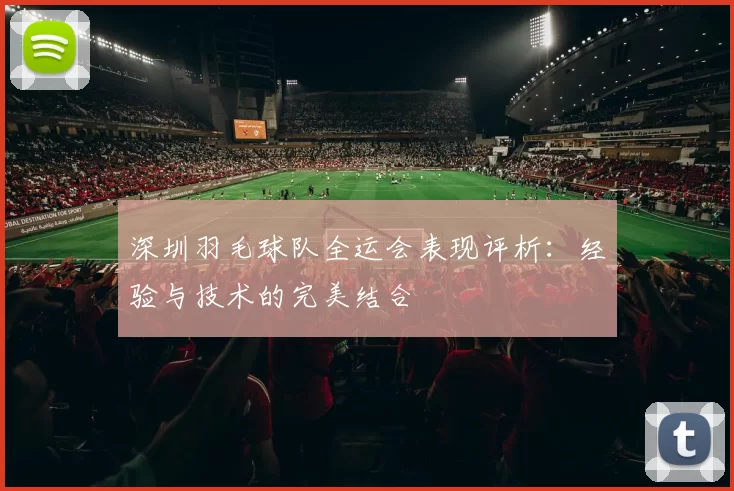 深圳羽毛球队全运会表现评析：经验与技术的完美结合