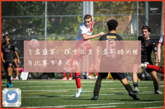 飞盘盛宴：探索北京飞盘队的训练与比赛节奏之旅