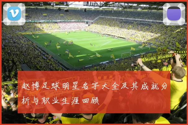 赵博足球明星名字大全及其成就分析与职业生涯回顾