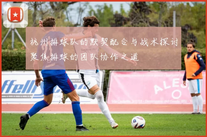 杭州排球队的默契配合与战术探讨聚焦排球的团队协作之道