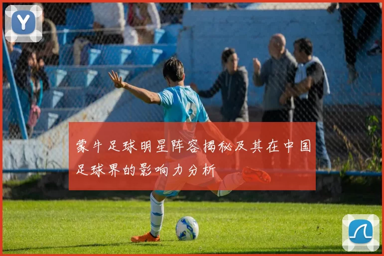 蒙牛足球明星阵容揭秘及其在中国足球界的影响力分析