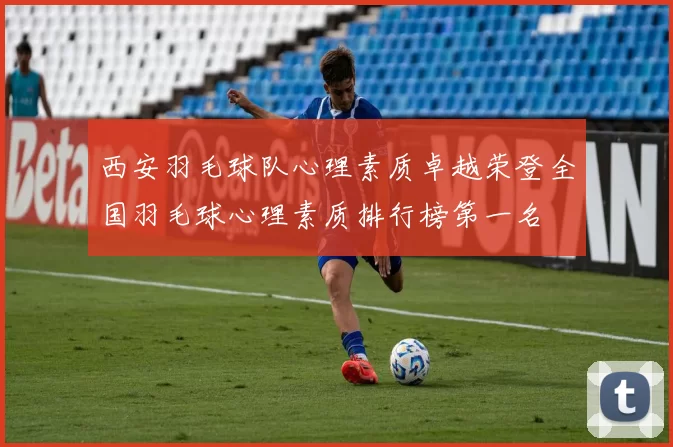 西安羽毛球队心理素质卓越荣登全国羽毛球心理素质排行榜第一名