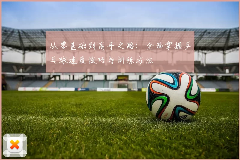 从零基础到高手之路：全面掌握乒乓球速度技巧与训练方法