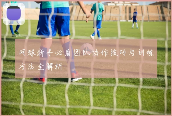 网球新手必看团队协作技巧与训练方法全解析