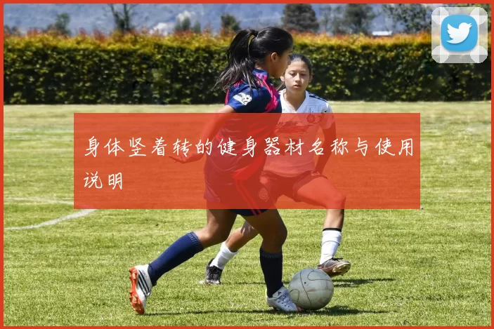 身体竖着转的健身器材名称与使用说明